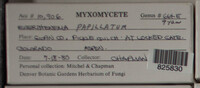 Image Associated With the Occurence